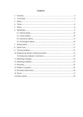 Verslo planas: turizmo įmonė UAB "Dolibra" 2 puslapis