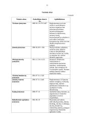 Verslo planas: turizmo įmonė UAB "Dolibra" 11 puslapis