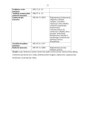 Verslo planas: turizmo įmonė UAB "Dolibra" 12 puslapis