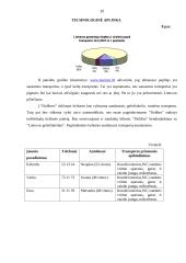 Verslo planas: turizmo įmonė UAB "Dolibra" 20 puslapis