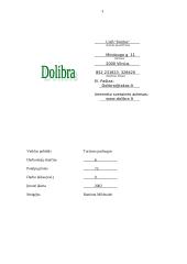 Verslo planas: turizmo įmonė UAB "Dolibra" 3 puslapis