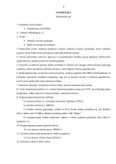 Verslo planas: turizmo įmonė UAB "Dolibra" 4 puslapis