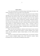 Verslo planas: turizmo įmonė UAB "Dolibra" 6 puslapis