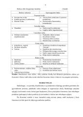 Verslo planas: turizmo įmonė UAB "Dolibra" 9 puslapis