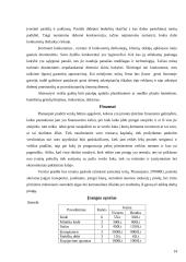 Verslo planas: vidaus apdailos ir remonto darbai UAB "Klojėjas" 14 puslapis