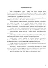 Verslo planas: vidaus apdailos ir remonto darbai UAB "Klojėjas" 3 puslapis