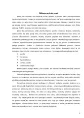 Verslo planas: vidaus apdailos ir remonto darbai UAB "Klojėjas" 4 puslapis