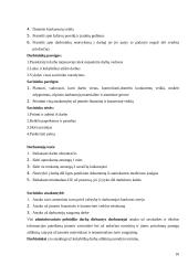 Verslo planas: vidaus apdailos ir remonto darbai UAB "Klojėjas" 10 puslapis