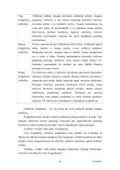 Verslo planas: viešbutis "Vaidila" 12 puslapis