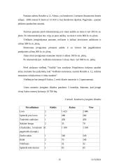 Verslo planas: viešbutis "Vaidila" 15 puslapis