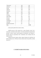 Verslo planas: viešbutis "Vaidila" 16 puslapis