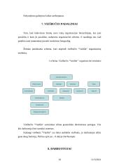 Verslo planas: viešbutis "Vaidila" 19 puslapis