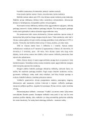 Verslo planas: viešbutis "Vaidila" 5 puslapis