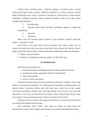 Verslo plano struktūra ir turinys. Įmonės verslo plano analizė 11 puslapis