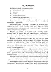 Verslo plano struktūra ir turinys. Įmonės verslo plano analizė 12 puslapis