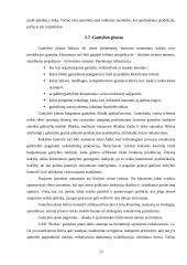 Verslo plano struktūra ir turinys. Įmonės verslo plano analizė 13 puslapis