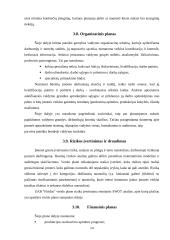 Verslo plano struktūra ir turinys. Įmonės verslo plano analizė 14 puslapis