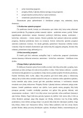 Verslo plano struktūra ir turinys. Įmonės verslo plano analizė 15 puslapis