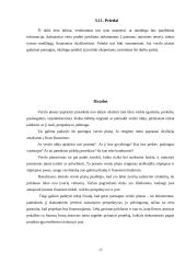 Verslo plano struktūra ir turinys. Įmonės verslo plano analizė 17 puslapis