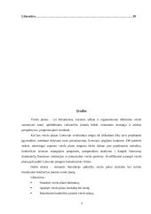 Verslo plano struktūra ir turinys. Įmonės verslo plano analizė 3 puslapis