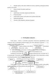 Verslo plano struktūra ir turinys. Įmonės verslo plano analizė 4 puslapis