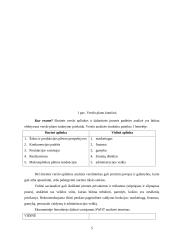 Verslo plano struktūra ir turinys. Įmonės verslo plano analizė 5 puslapis