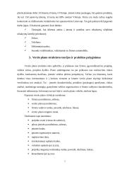 Verslo plano struktūra ir turinys. Įmonės verslo plano analizė 7 puslapis