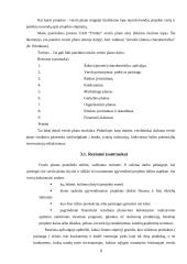 Verslo plano struktūra ir turinys. Įmonės verslo plano analizė 8 puslapis