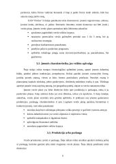 Verslo plano struktūra ir turinys. Įmonės verslo plano analizė 9 puslapis