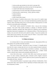 Verslo plano struktūra ir turinys. Įmonės verslo plano analizė 10 puslapis