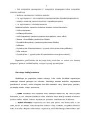 Verslo vidinė aplinka ir jos įvertinimas 11 puslapis