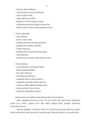 Verslo vidinė aplinka ir jos įvertinimas 16 puslapis