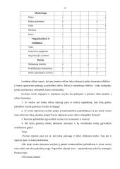 Verslo vidinė aplinka ir jos įvertinimas 19 puslapis