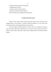 Verslo vidinė aplinka ir jos įvertinimas 20 puslapis