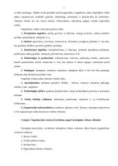 Verslo vidinė aplinka ir jos įvertinimas 4 puslapis