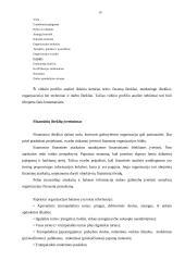 Verslo vidinė aplinka ir jos įvertinimas 10 puslapis