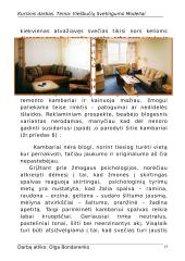 Viešbučių svetingumo modeliai 10 puslapis