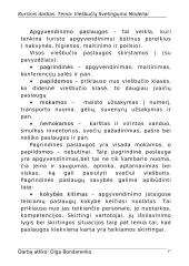 Viešbučių svetingumo modeliai 14 puslapis