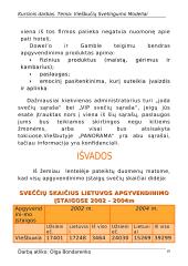 Viešbučių svetingumo modeliai 16 puslapis