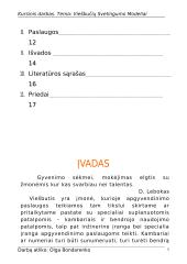 Viešbučių svetingumo modeliai 2 puslapis