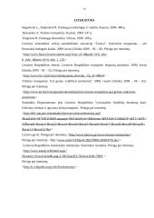 Viešojo transporto paslaugos ekonominiu aspektu 16 puslapis