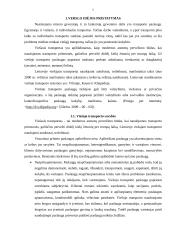 Viešojo transporto paslaugos ekonominiu aspektu 3 puslapis