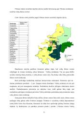 Viešosios institucijos veiklos projektas 11 puslapis