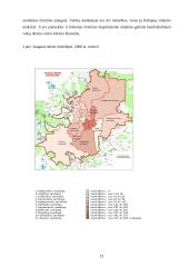 Viešosios institucijos veiklos projektas 12 puslapis