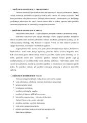 Viešosios institucijos veiklos projektas 13 puslapis
