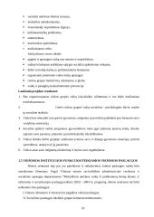Viešosios institucijos veiklos projektas 14 puslapis