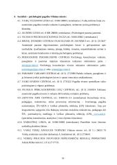 Viešosios institucijos veiklos projektas 19 puslapis