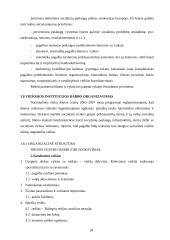 Viešosios institucijos veiklos projektas 20 puslapis