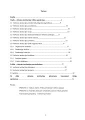 Viešosios institucijos veiklos projektas 3 puslapis