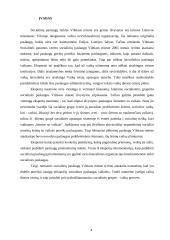 Viešosios institucijos veiklos projektas 4 puslapis